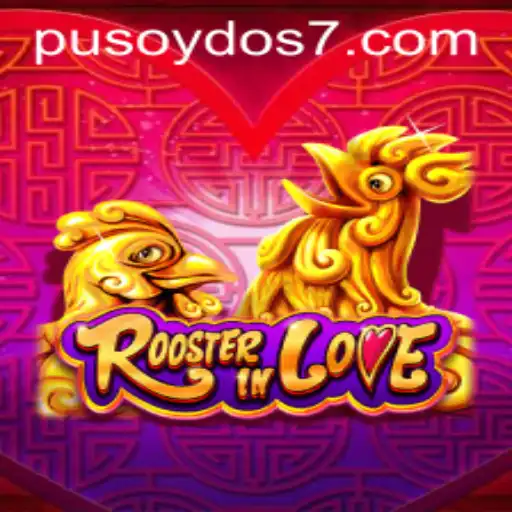 Exploring the Dynamics of RoosterInLove and the Strategy of Pusoy Dos