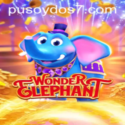 WonderElephant: A Dive into Pusoy Dos Gameplay